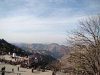 Shimla